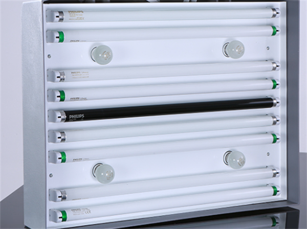 茄子在线免费视频2